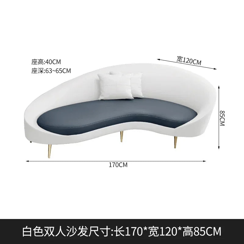 DESIGNER MODERN LIVING ROOM SOFAS