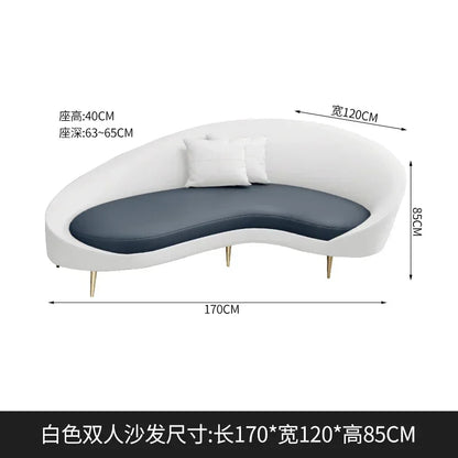 DESIGNER MODERN LIVING ROOM SOFAS