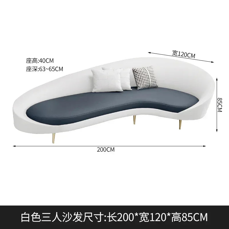 DESIGNER MODERN LIVING ROOM SOFAS