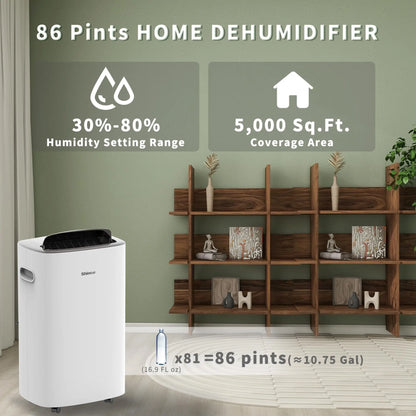 Dehumidifier For Home With Drain Hose